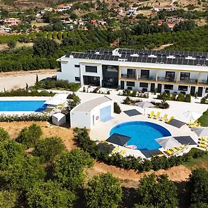 Orange Grove Silves